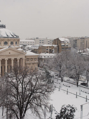 SPECTRUM XXI FESTIVAL
Nov 2005 - Nov 2009
Part of Hyperion Ensemble on tour with Ana-Maria Avram / Iancu Dumitrescu.
Peter as Composer, Pianist, Percussionist, Double Bassist, Cellist
Bucharest, Romania